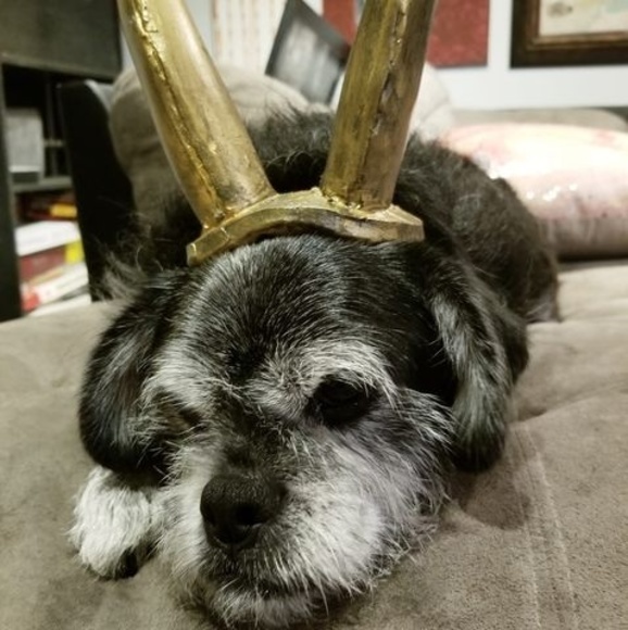 Meet your Posher, Mark - Picture 1 of 1